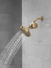 Standard Shower Filter with Shower Head Bundle