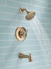 Shower Trim with Rough Bundle