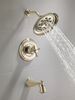 H2O Tub/Shower Trim 1H w/o Handle 14S (Recertified)