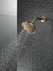 H<sub>2</sub>Okinetic® 5-Setting Traditional Raincan Shower Head (Recertified)