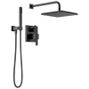 Raincan Shower Rough & Trim w/ HS 1L 14S (Recertified)