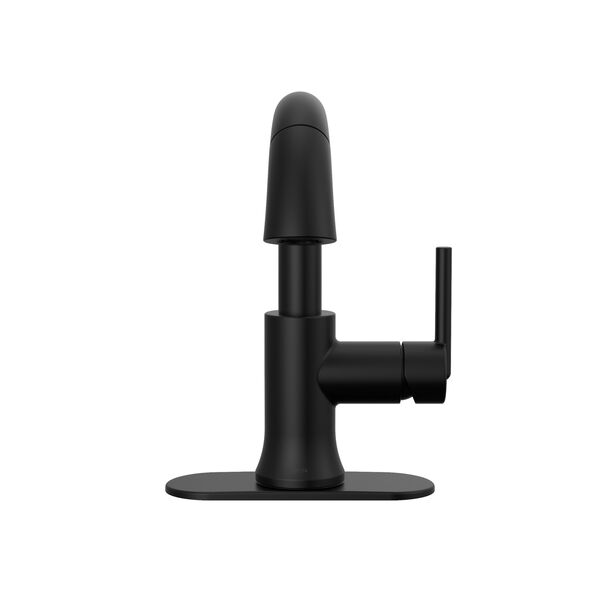 Single Handle Pull Down Bathroom Faucet (Recertified)