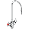 Two Handle Deck-mount Single Shank Laboratory Mixing Faucet