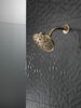 H<sub>2</sub>Okinetic® 5-Setting Traditional Raincan Shower Head (Recertified)