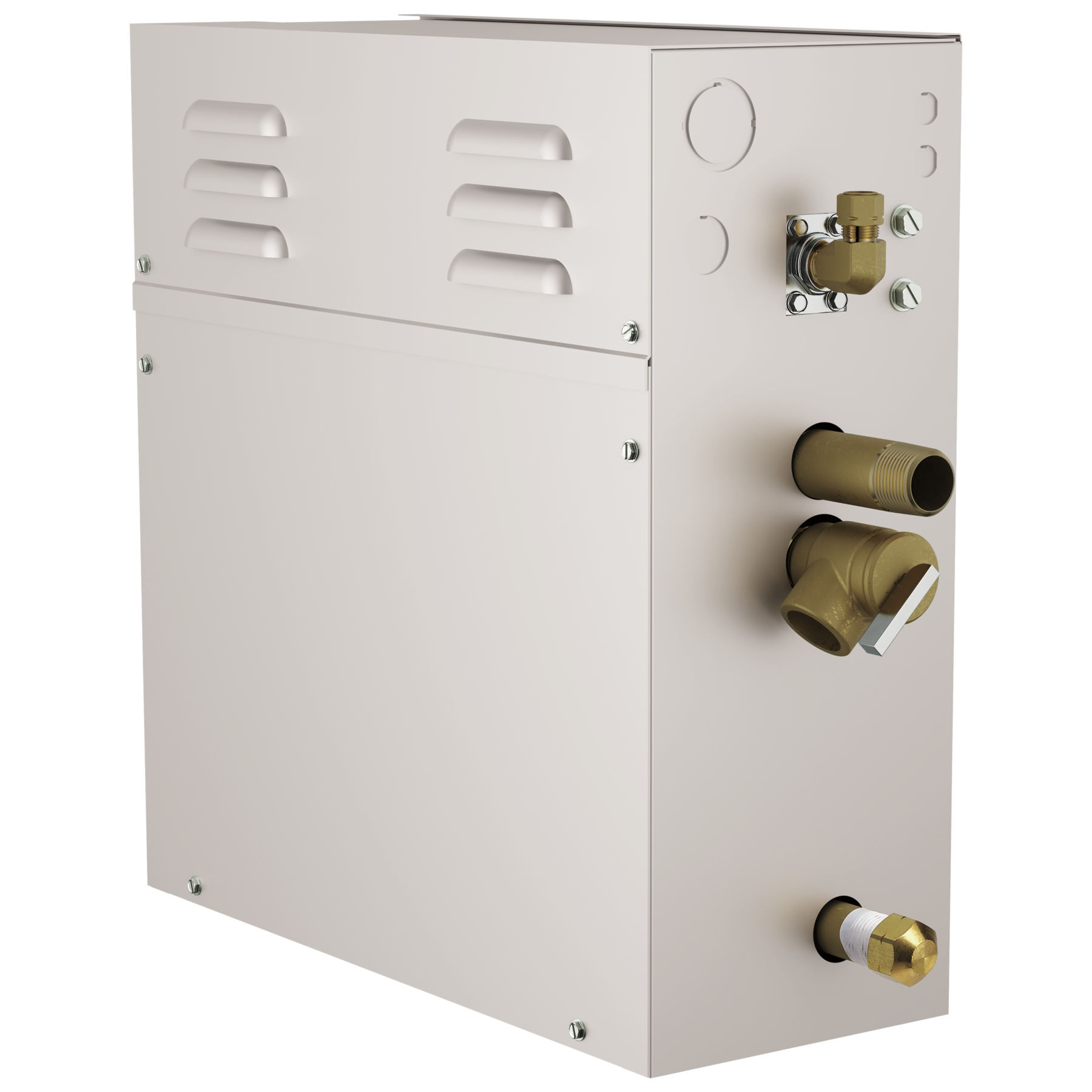 Generador SimpleSteam™ - 10 kW