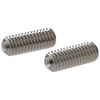 Tornillo de fijación