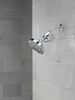 Standard Shower Filter with Shower Head Bundle