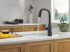 VoiceIQ® Single Handle Pull-Down Faucet with Touch<sub>2</sub>O® Technology