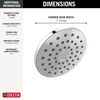 PivotPro™ Raincan Shower Head
