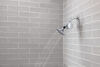Standard Shower Filter Attachment