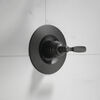 Shower Trim with Universal Rough Bundle - 14 Series