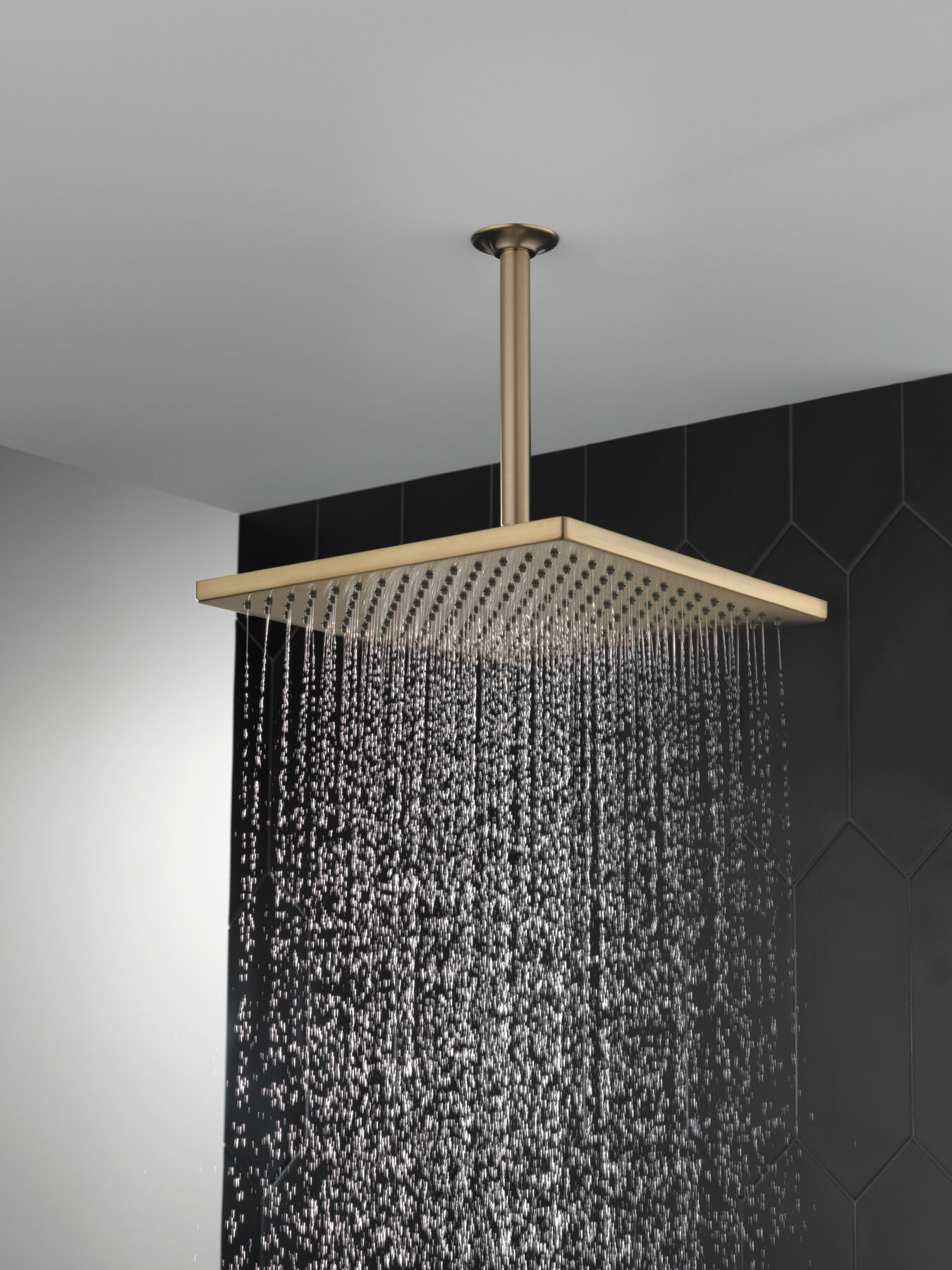 Single-Setting Metal Raincan Shower Head (Recertified), image 3