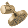 Standard Shower Filter with Shower Head Bundle
