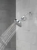 Standard Shower Filter with Shower Head Bundle