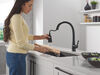 Llave para cocina extensible de una manija con tecnología ShieldSpray® en negro mate