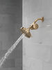 Standard Shower Filter with Shower Head Bundle