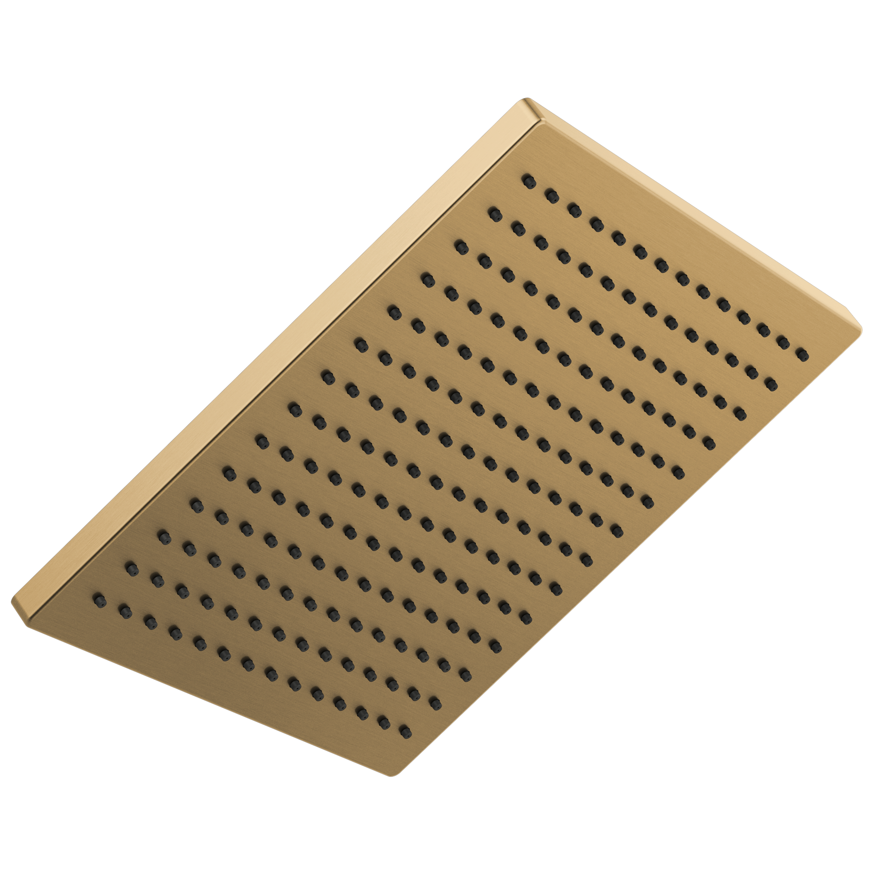 Cabezal de ducha tipo lluvia de metal de un ajuste (producto recertificado)