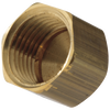 Tapa de latón IPS hembra de 1/2"