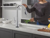Single Handle Kitchen Pull-Down Faucet with Touch2O Technology