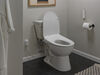 Ultimate Elongated Electric Bidet Toilet Seat