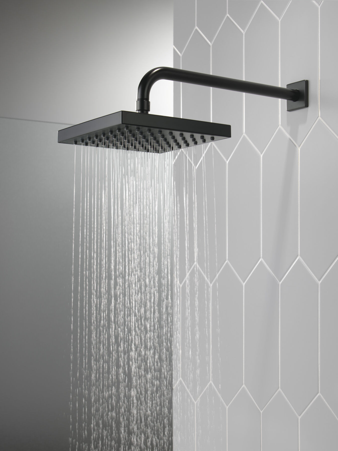 Raincan Single Setting Showerhead (Recertified), image 3