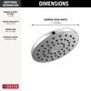 PivotPro™ Raincan Shower Head