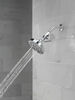 Standard Shower Filter with Shower Head Bundle