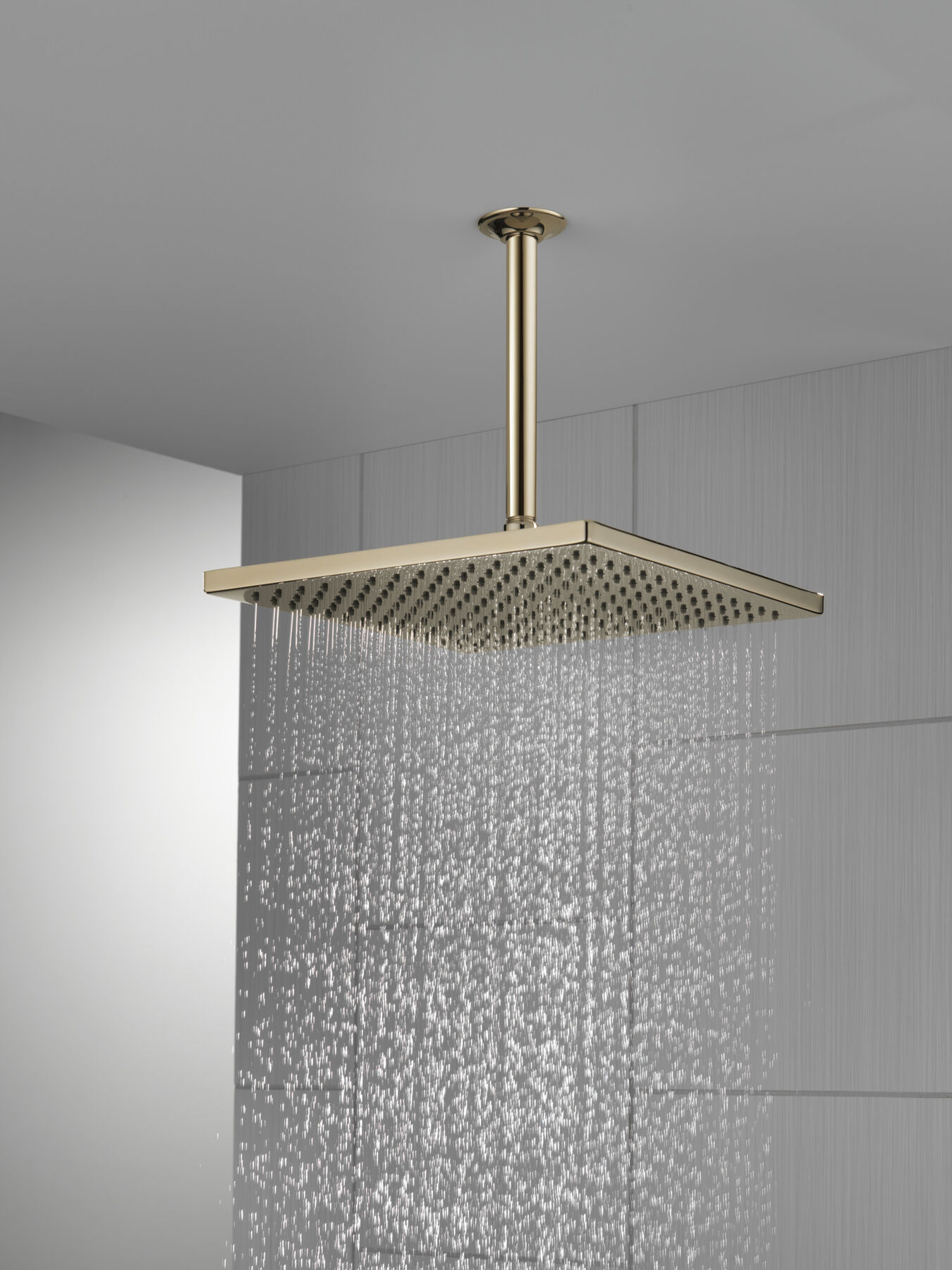 SH 2.5 GPM Raincan 12" 1S Metal (Recertified), image 3