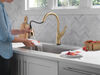 Touch2O Pull-Down Kitchen 1L with Voice Bundle
