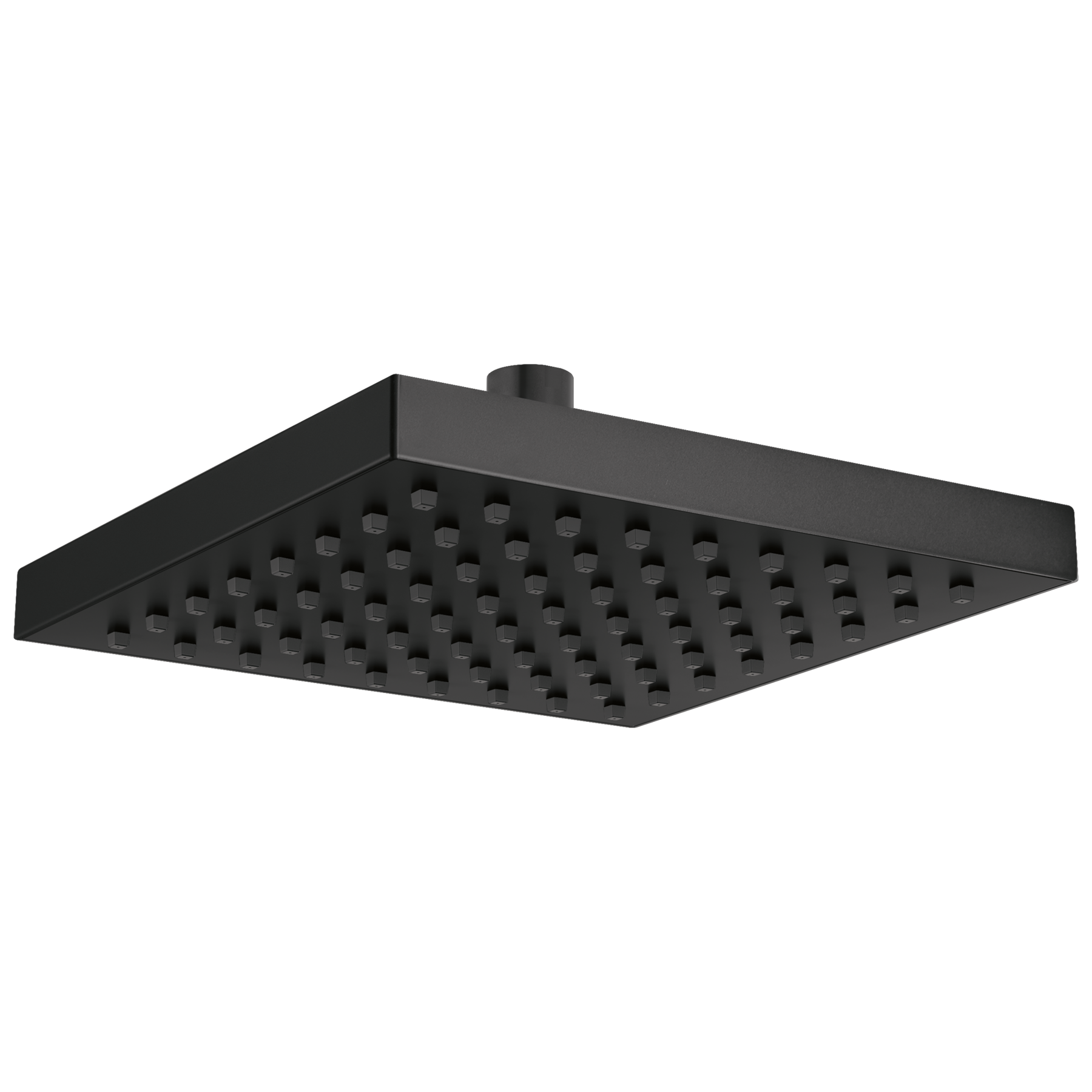 Raincan Single Setting Showerhead (Recertified)