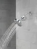 Standard Shower Filter with Shower Head Bundle