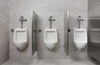 Electronic Exposed Water Closet Flush Valve with MMO and Dual Flush - Solar Operated