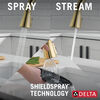 Single-Handle Pull-Down Kitchen Faucet with Touch<sub>2</sub>O® Technology