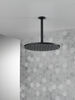 SH 1.75 GPM Raincan 12" 1S Metal (Recertified)