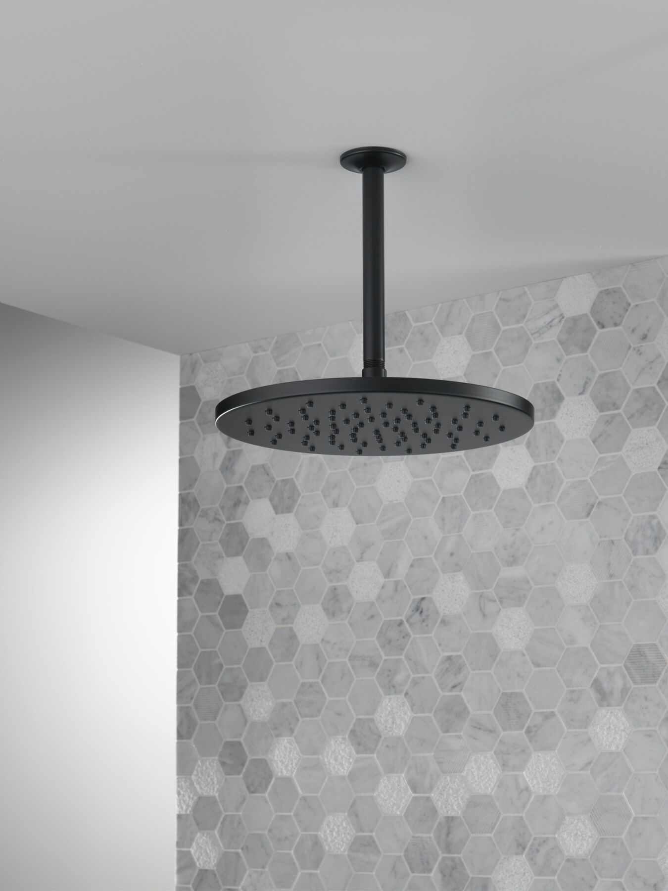 SH 1.75 GPM Raincan 12" 1S Metal (Recertified), image 3