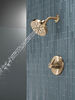 Conjunto interior y accesorios de ducha 1L 14S (producto recertificado)