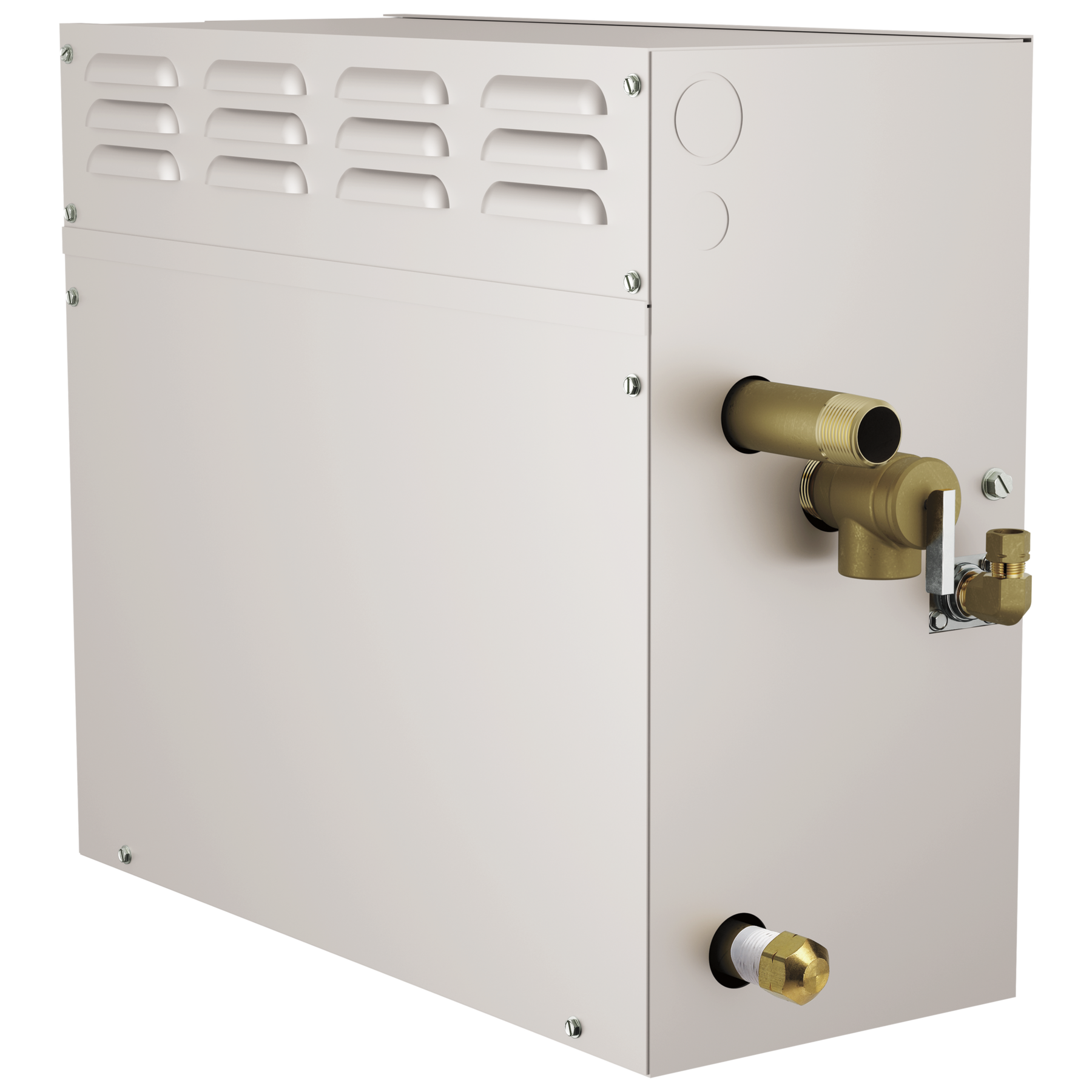 Generador SimpleSteam™ - 12 kW