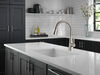 Llave para cocina monomando extensible