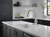 Llave para cocina monomando extensible