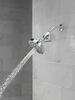 Standard Shower Filter with Shower Head Bundle