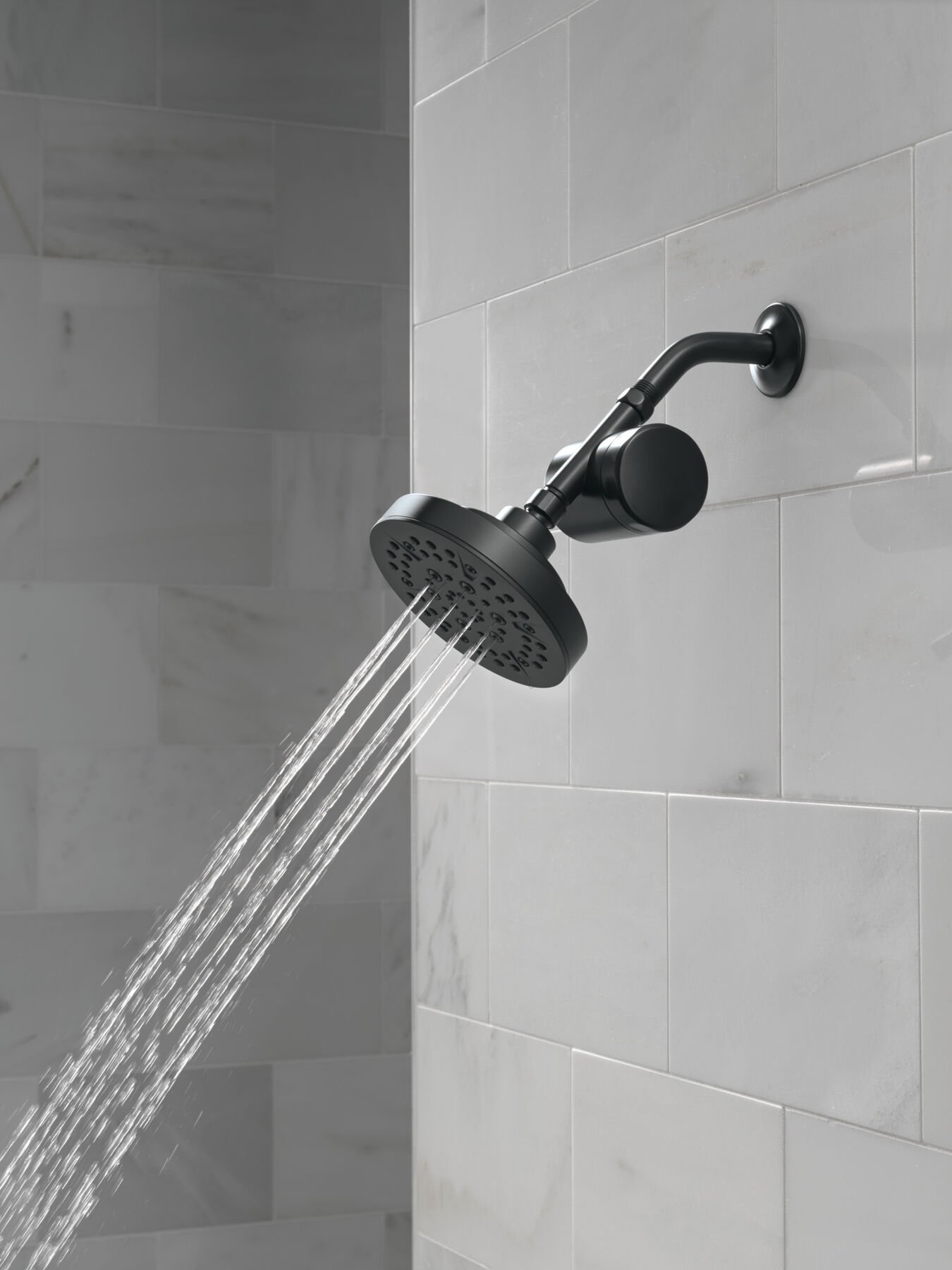 Standard Shower Filter Attachment, image 2