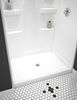 Cerramiento para ducha ProCrylic de 48" Cerramiento para ducha
