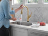 Touch2O Pull-Down Kitchen 1L with Voice Bundle