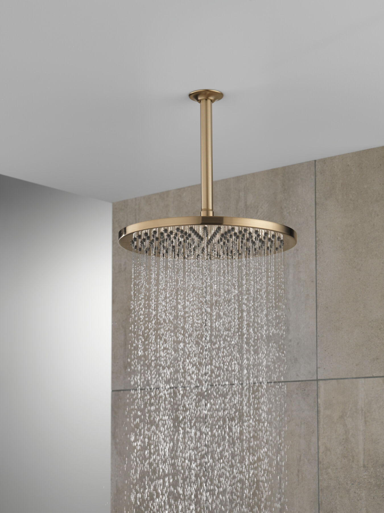 SH 2.5 GPM Raincan 12" 1S Metal (Recertified), image 1