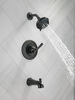Conjunto interior/accesorios de ducha y bañera 14S 1L (producto recertificado)