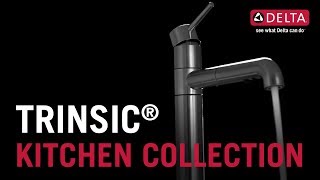 Imagen en miniatura de Colección para cocina Trinsic<sup>®</sup> de Delta Faucet