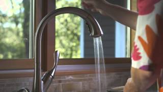 Imagen en miniatura de La esencia de la marca Delta Faucet