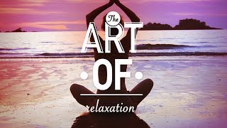 Imagen en miniatura de The Art Of: Relajación