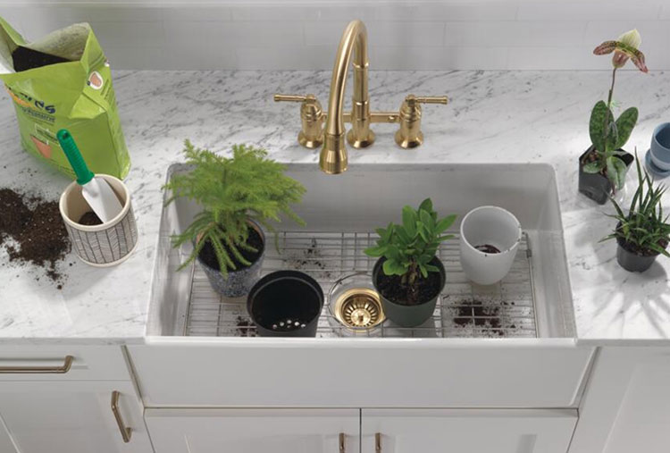 Estación para plantas en el lavabo de la cocina